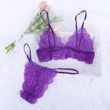 Sexy Lace Transparent Bra And Panty