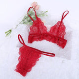 Sexy Lace Transparent Bra And Panty